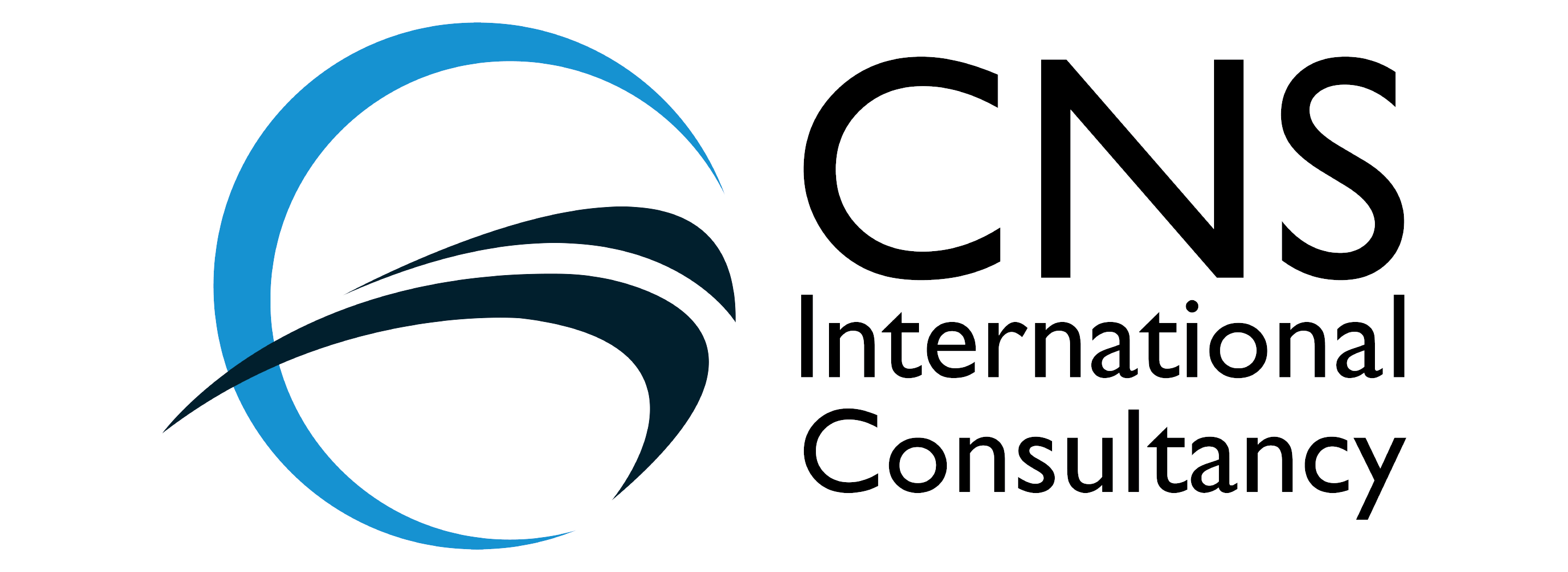 CNSINT Logo